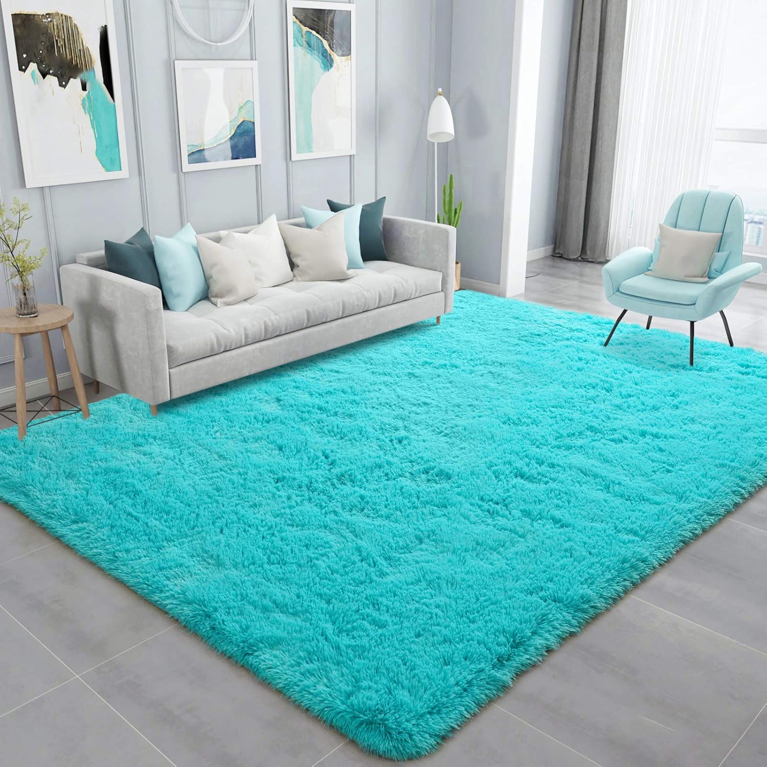 Shag Area Rug Fluffy Carpet