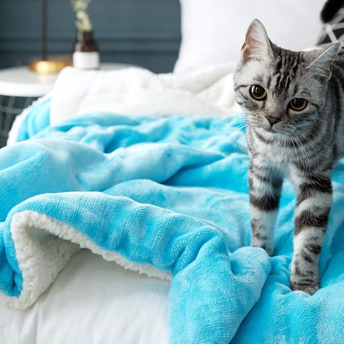 Sherpa Fuzzy Fleece Blanket