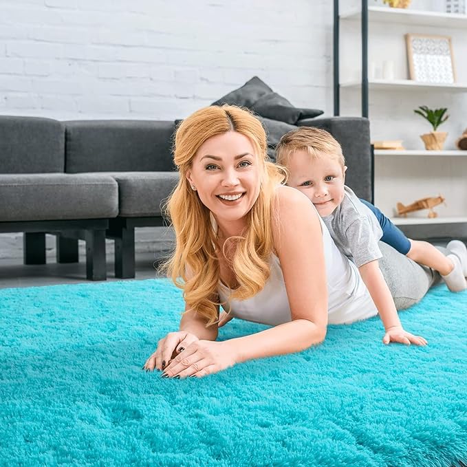 Shag Area Rug Fluffy Carpet