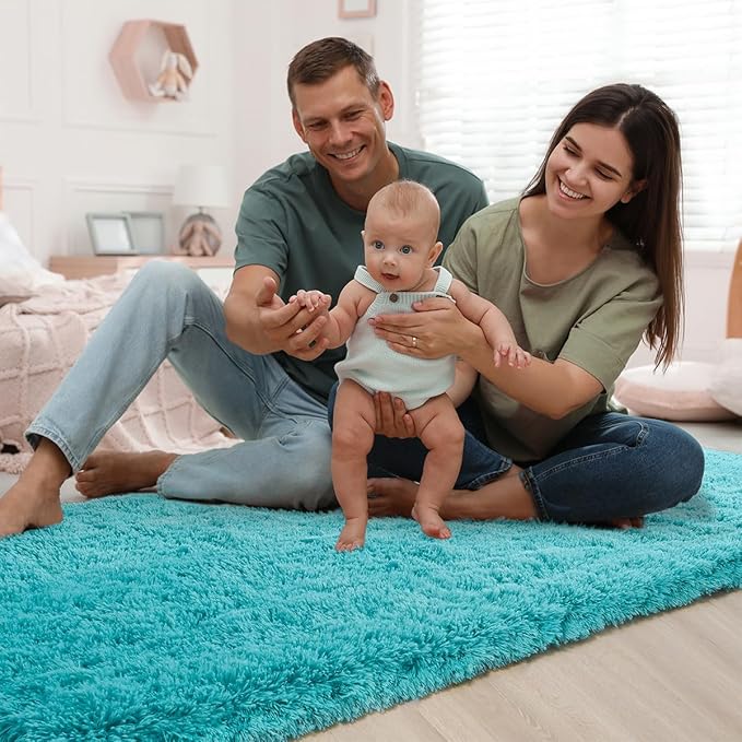 Shag Area Rug Fluffy Carpet