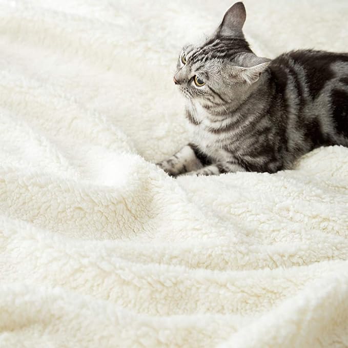 Sherpa Fuzzy Fleece Blanket