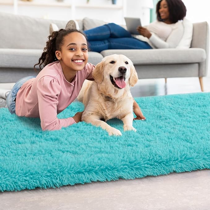 Shag Area Rug Fluffy Carpet